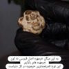 مهره مار / مهره مار شاه کبری اصل وخرمهره (راز خوشبختی)