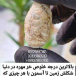 خرمهره اصل