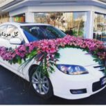 همکار ماهر خانم یا آقا کاردر گلفروشی
