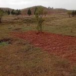 فروش زمین 500 متری در روستای همسین
