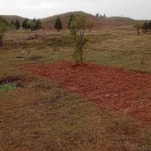 فروش زمین 500 متری در روستای همسین