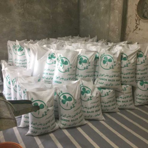 بذر قره یونجه اصلاح شده