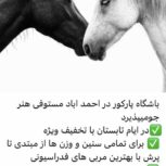 باشگاه سوارکاری پارکور