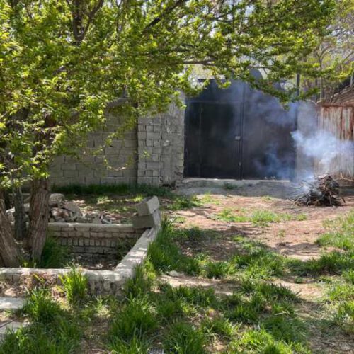 فروش باغ میوه