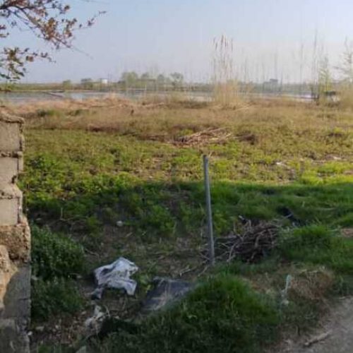 فروش فوری 500 متر زمین در دابودشت روستای دوتیره