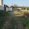 فروش فوری 500 متر زمین در دابودشت روستای دوتیره
