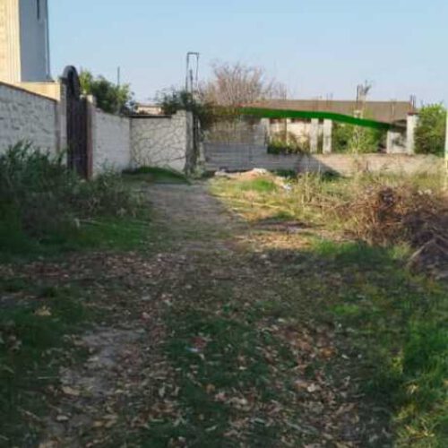 فروش فوری 500 متر زمین در دابودشت روستای دوتیره