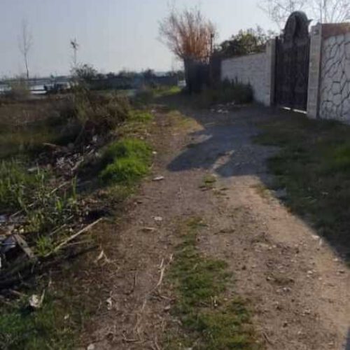 فروش فوری 500 متر زمین در دابودشت روستای دوتیره