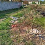 فروش فوری 500 متر زمین در دابودشت روستای دوتیره