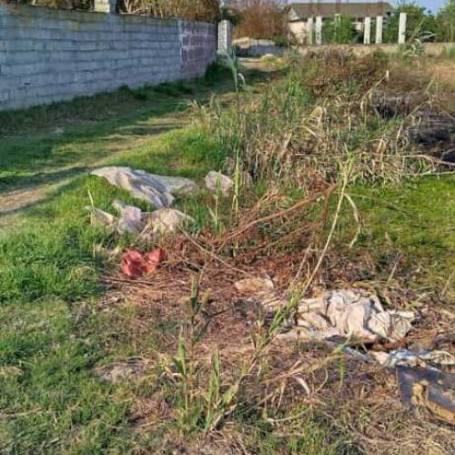 فروش فوری 500 متر زمین در دابودشت روستای دوتیره