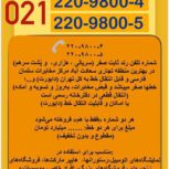 بیوتی بلندر