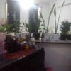 فروش آپارتمان کامل بازسازی شده فوری خوش قیمت