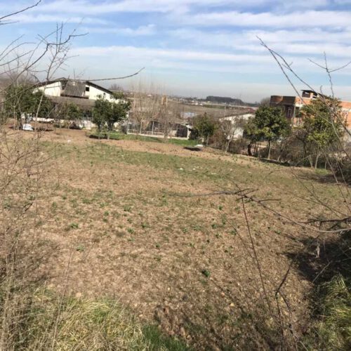 فروش فوری زمین مازندران قایمشهر لهرم تلوک