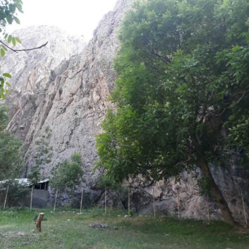فروش زمین در جاده چالوس