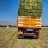 فروش یونجه انباری همدان درجه 1