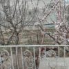 ویلا در دماوند