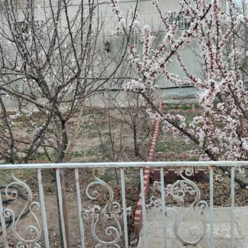 ویلا در دماوند