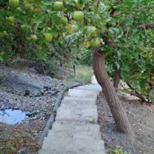 فروش باغ در روستای کردینه