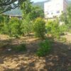 فروش زمین باغی در روستای الازمن شهر علی اباد کتول