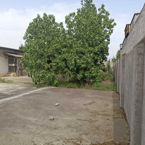 زمین مسکونی قابلیت تغییر به تجاری
