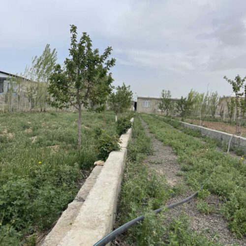 1050متر خانه باغ