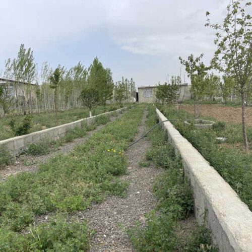1050متر خانه باغ