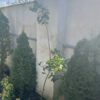 ویلا شهرکی شمال شهر نور