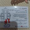 ساینادنده ای عروسک