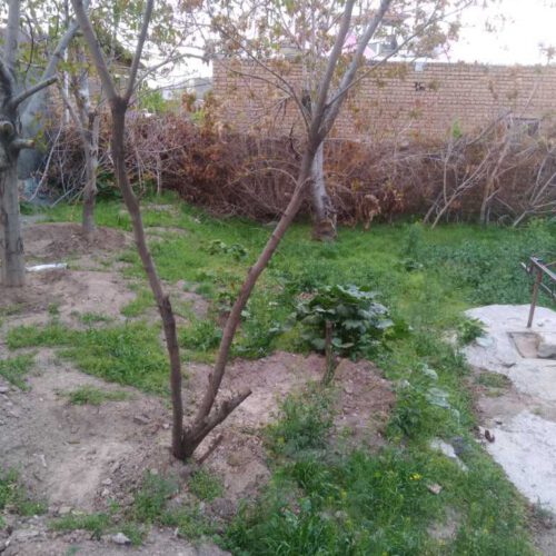 زمین و ملک کلنگی قابل سکونت