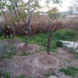 زمین و ملک کلنگی قابل سکونت