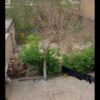ملک مسکونی با دو دربند مغازه