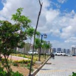 آپارتمان فروشی