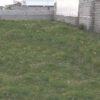 زمین مسکونی داخل بافت واقع در روستای علی آباد بابلسر