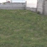 زمین مسکونی داخل بافت واقع در روستای علی آباد بابلسر