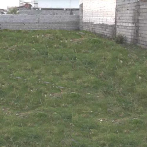 زمین مسکونی داخل بافت واقع در روستای علی آباد بابلسر