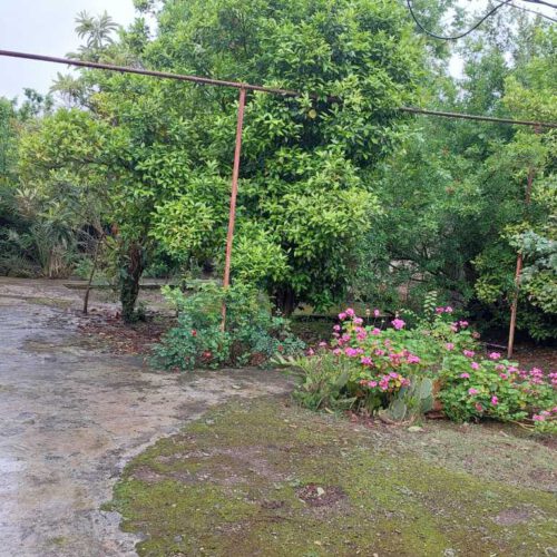خانه  و زمین