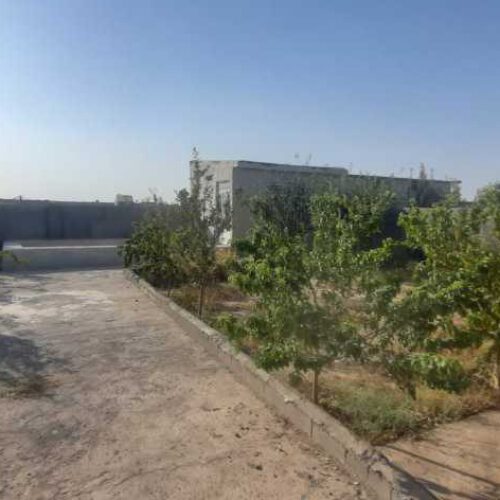 باغ500متر پشت آرامگاه فردوسی