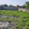 زمین داخل بافت مسکونی 354متری در قائمشهر روستای زیبای کاسکرکلا