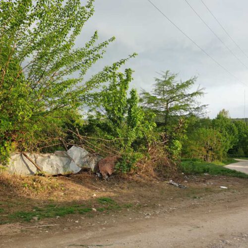 زمین مسکونی در دهستان توریستی ریکنده