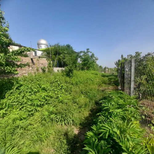 فروش زمین باغی در روستای الازمن شهر علی اباد کتول