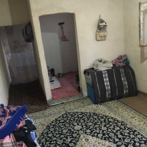 دامداری گاوداری دامپروری