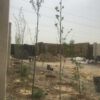 فروش ویلا در حال ساخت زیر فی