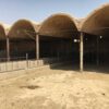 دامداری گاوداری دامپروری
