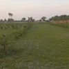 زمین های مسکونی در بابلسر