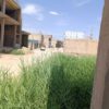 زمین تجاری مسکونی 100مترمربع واقع در کرونی