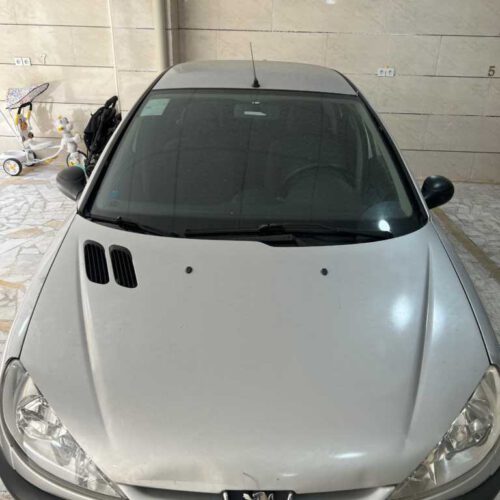 206sdv੪