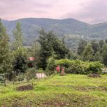 فروش زمن مسکونی در روستای دیورش