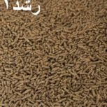 فروش خوراک دان گوشتی