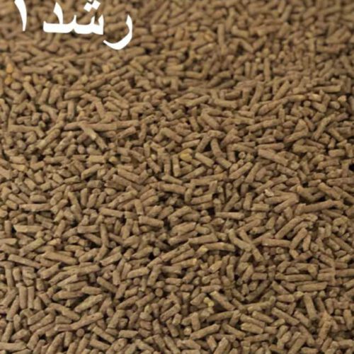 فروش خوراک دان گوشتی