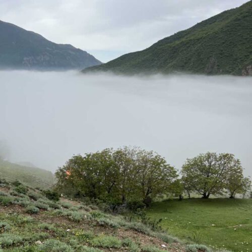 زمین ییلاقی